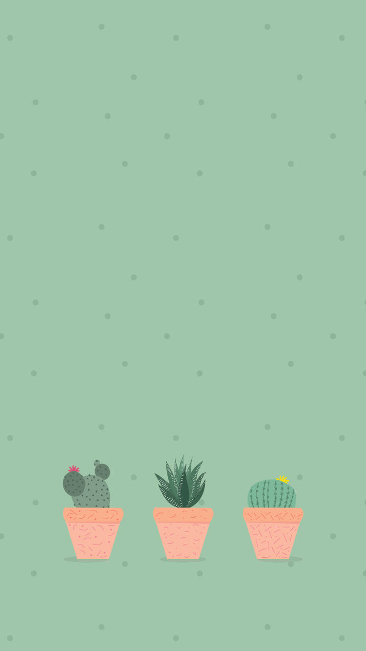 Artede Cactus Verde Fondo de pantalla