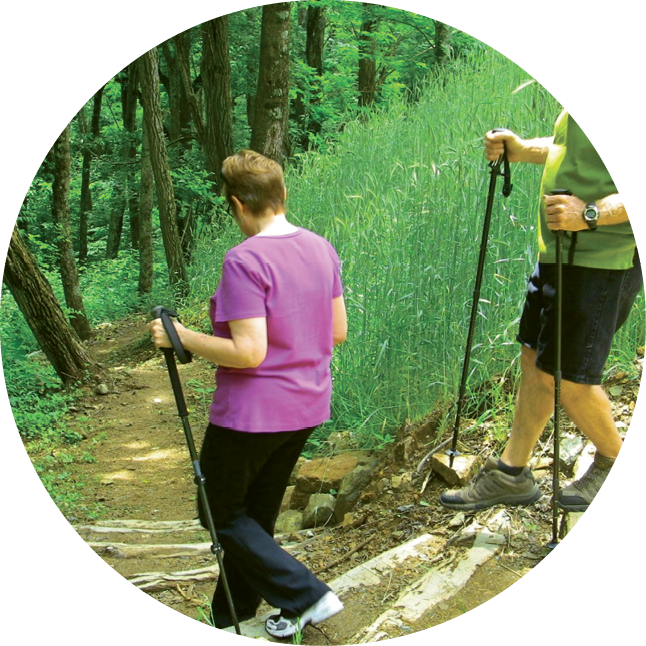 Hikers_on_ Forest_ Trail PNG