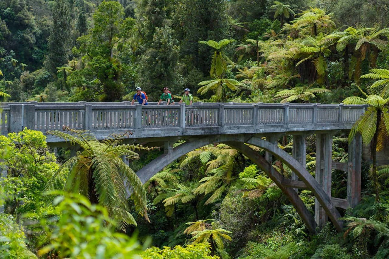 Hikerson Forest Bridge Whanganui Wallpaper