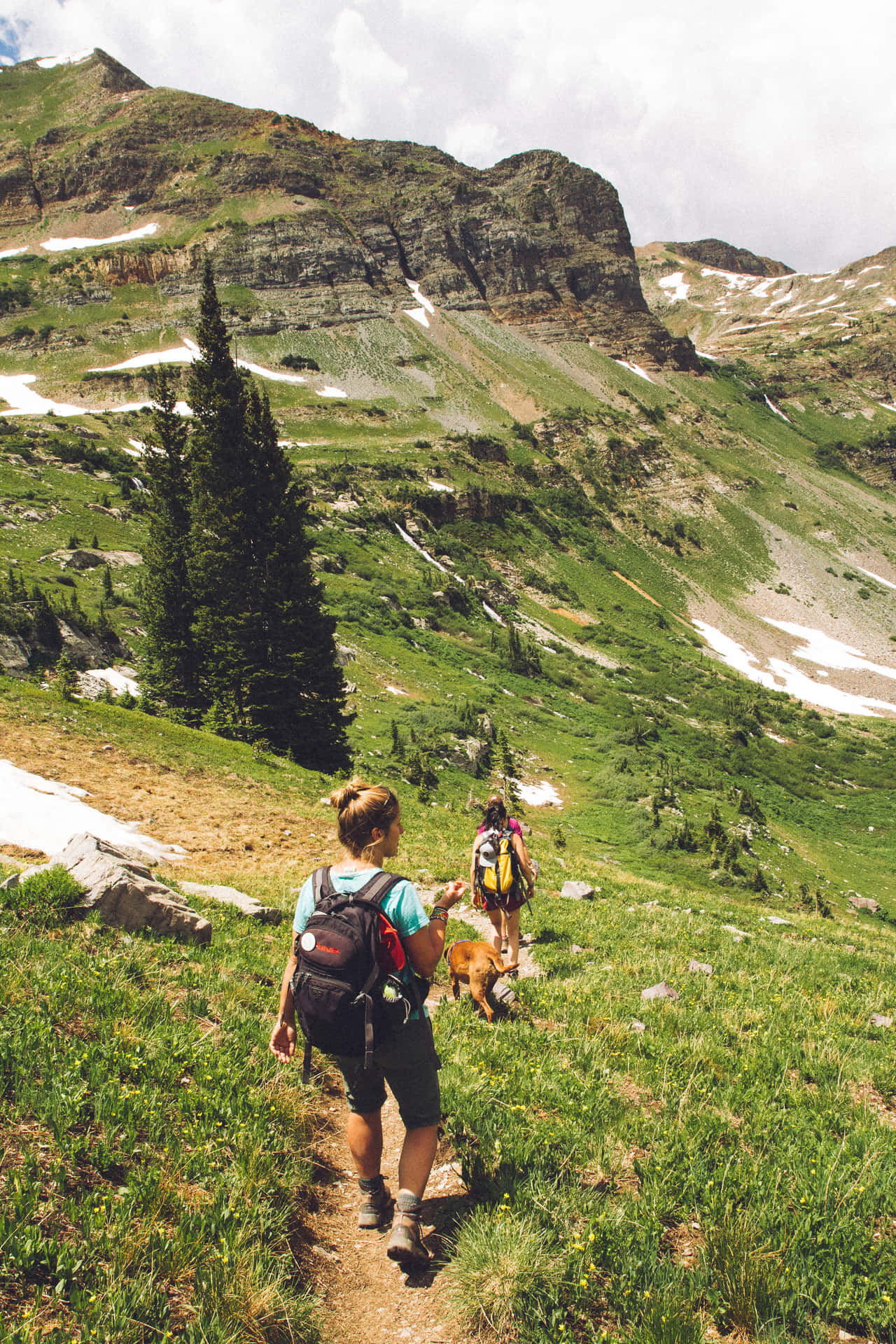 Adventurous Hikers Ascending the Beautiful Mountainous Trail