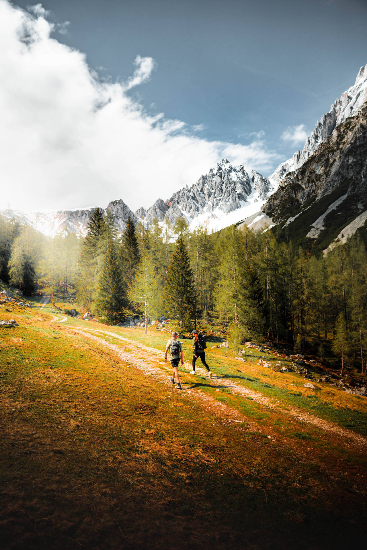 Escursionismo Nelle Alpi Austriache Sfondo