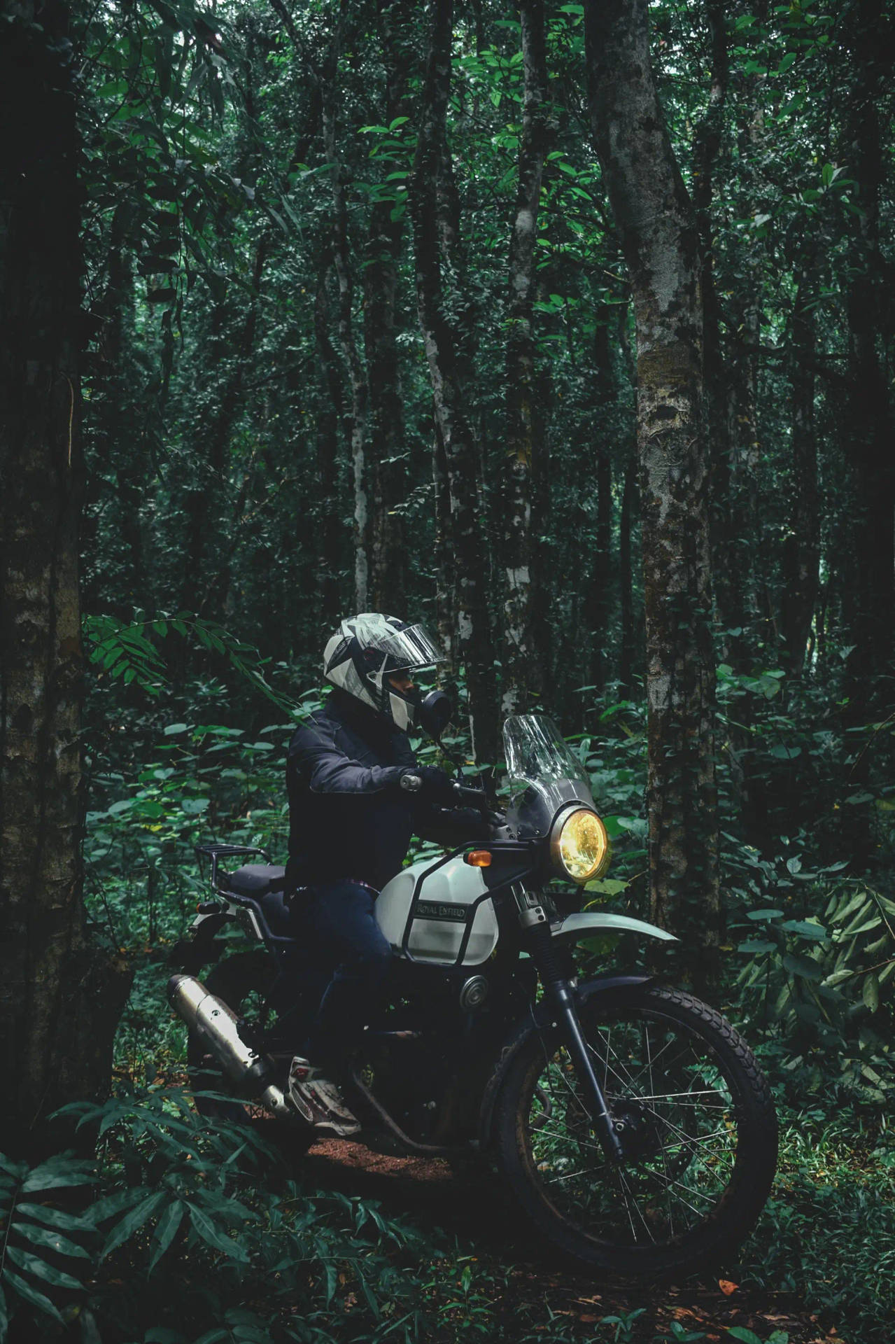 Himalayan Bike Forest Ride Wallpaper
