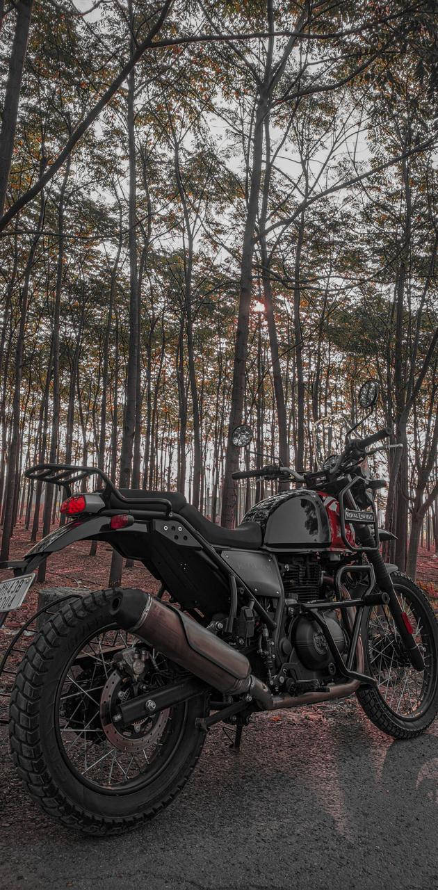 Himalayan Bike In Forest Wallpaper