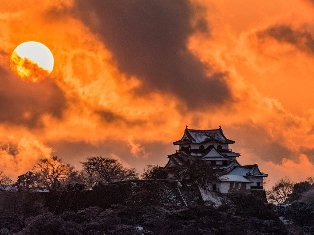 Himejischloss Bei Sonnenuntergang Wallpaper