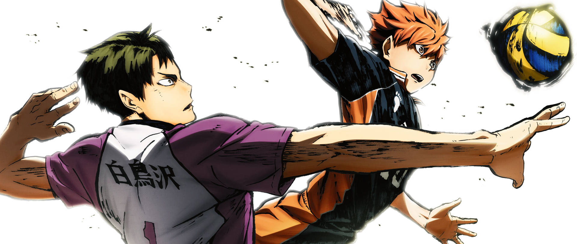 Download Haikyuu Wallpaper