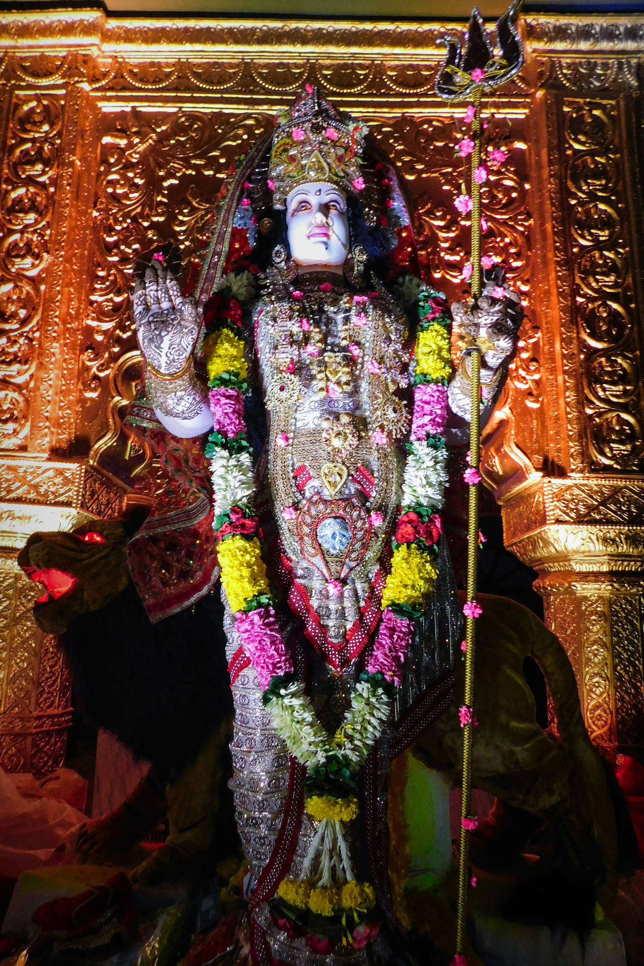 Deidadhindú, La Diosa Kali. Fondo de pantalla