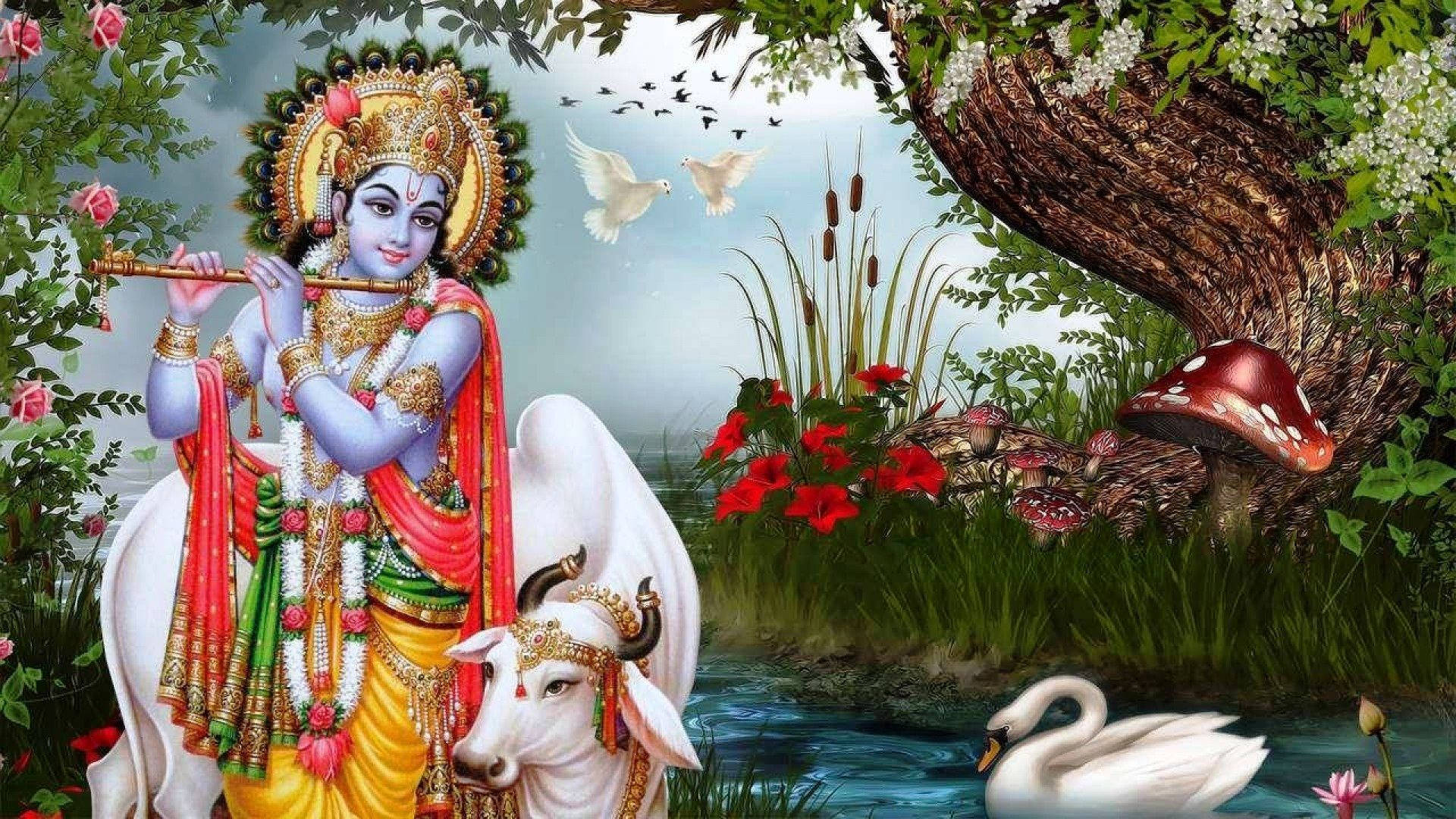 Hindu God Lord Krishna Wallpaper