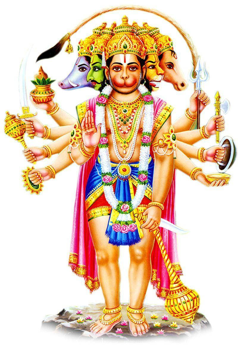 Hinduistisk Guddom Panchmukhi Hanuman I Hvidt Wallpaper