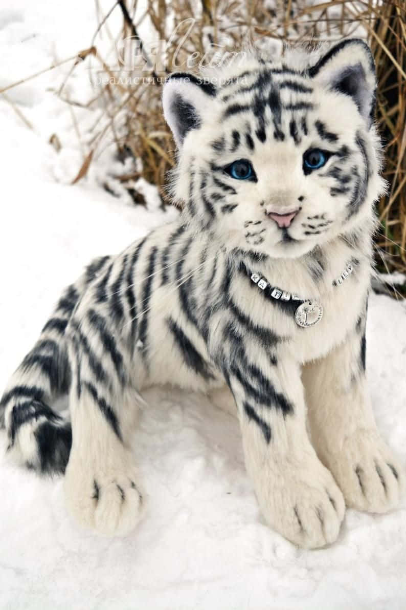 Hintergrundbildmit Baby-tiger