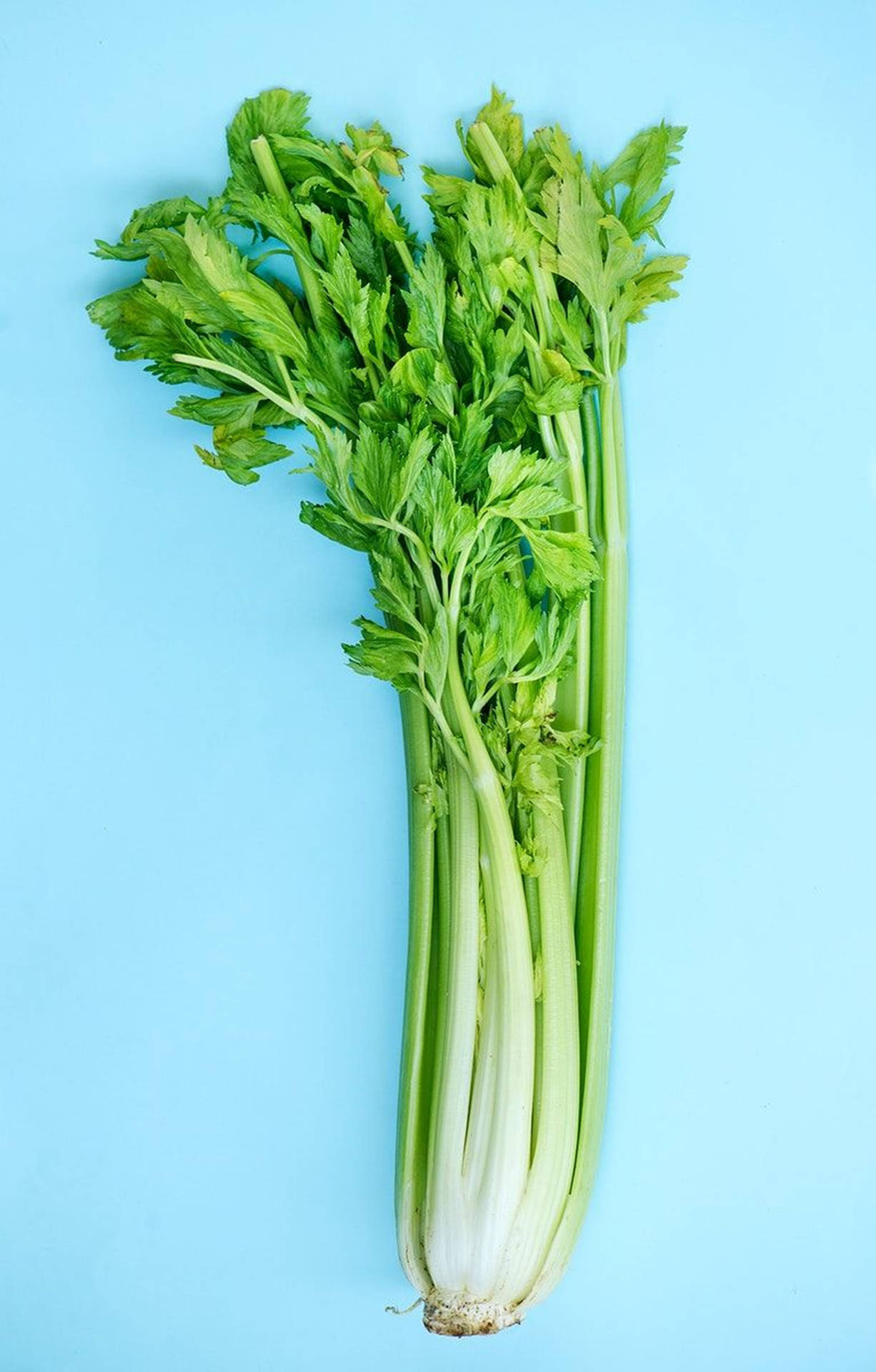 Hip Flat Lay Whole Celery Plant Wallpaper