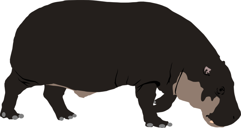 Hippopotamus Standing Profile PNG