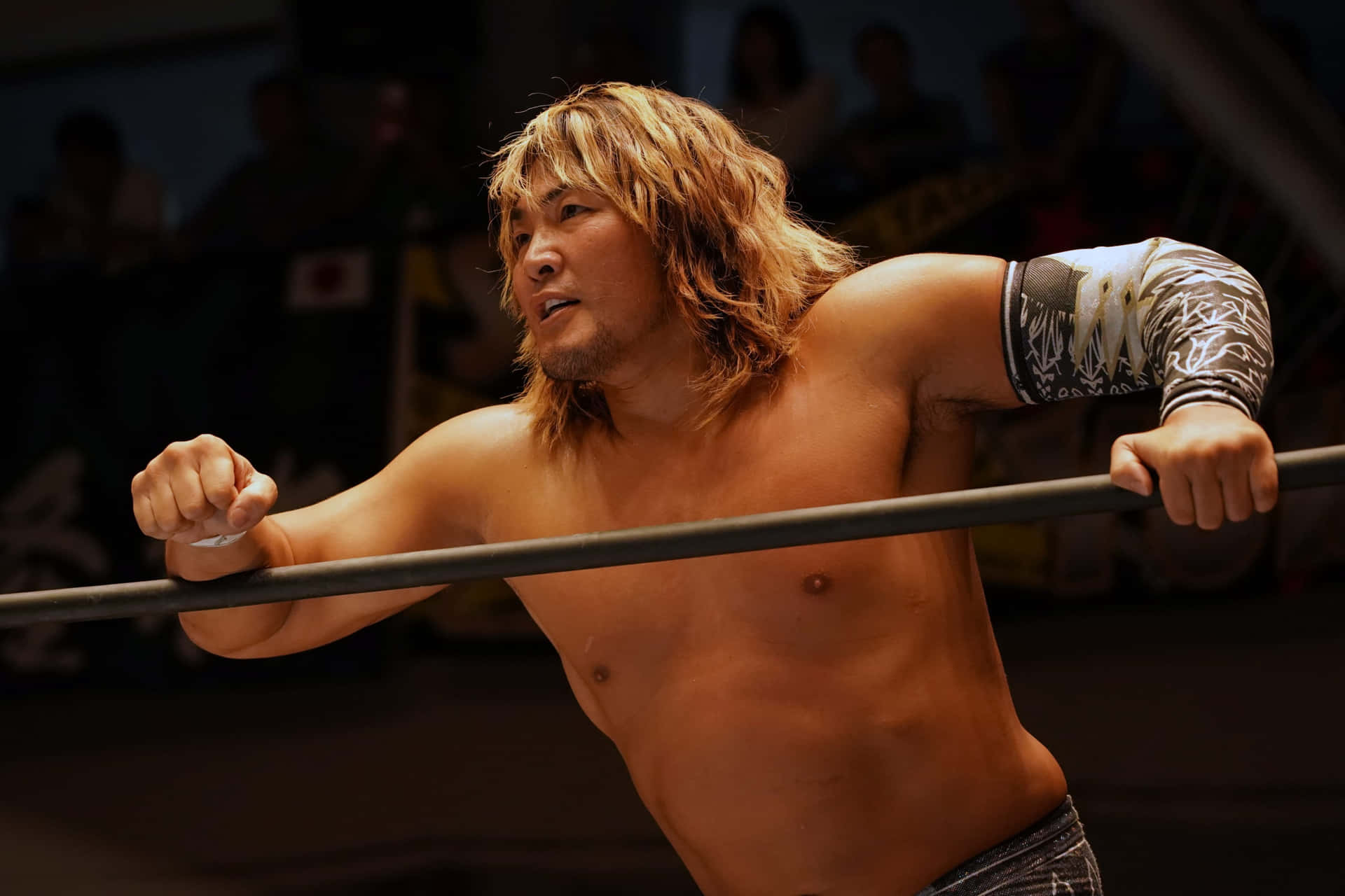 Hiroshi Tanahashi All Elite Wrestling Talent Background