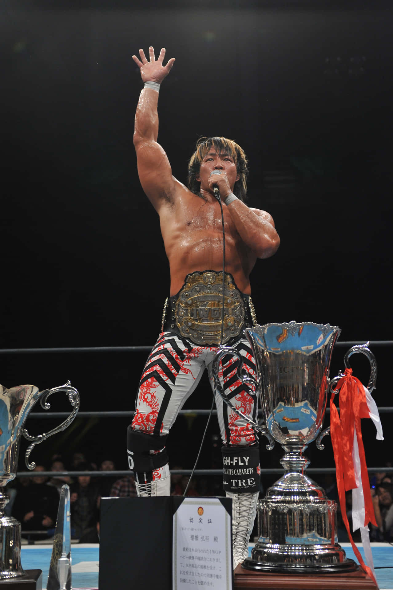 Hiroshi Tanahashi Iwgp Heavyweight Champion Background
