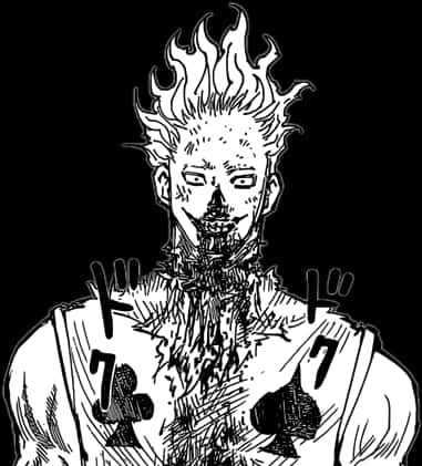 Hisoka Manga Portrait PNG