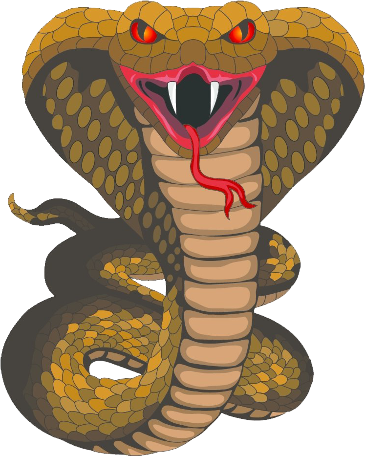 Hissing_ Snake_ Illustration PNG