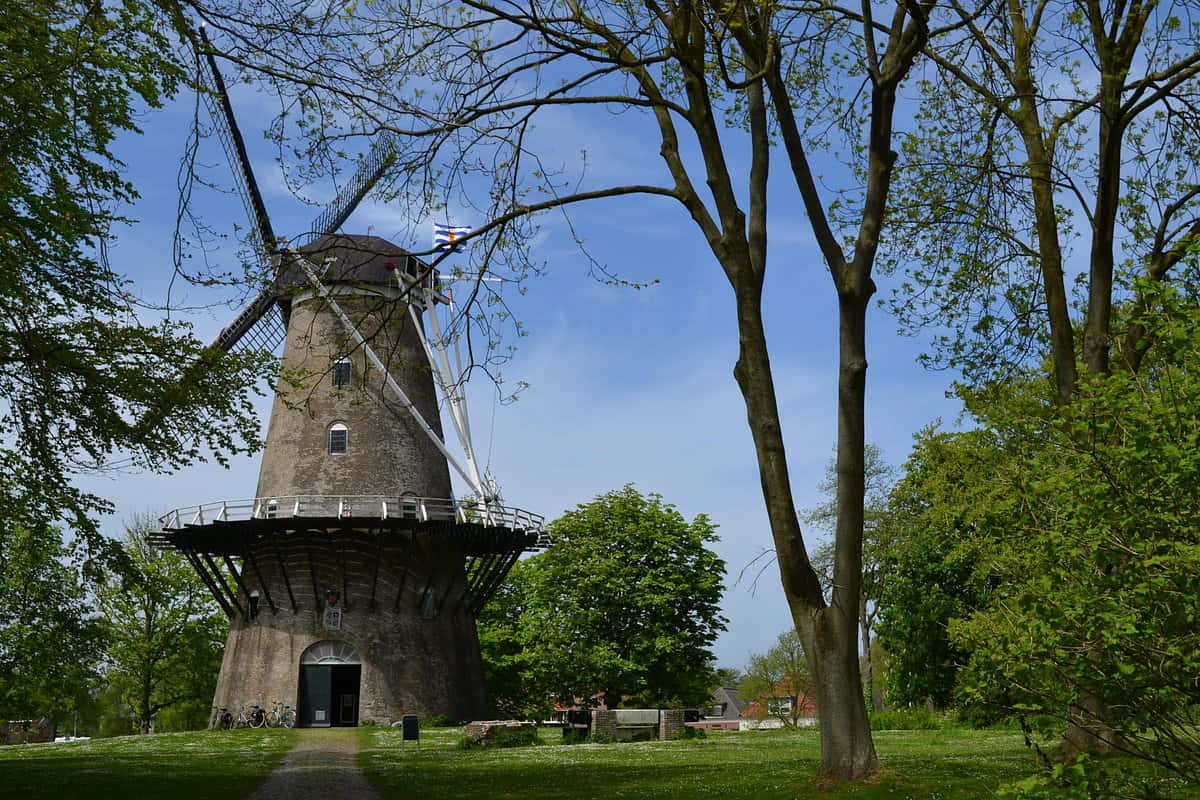 Historic Windmill Terneuzen Netherlands Wallpaper