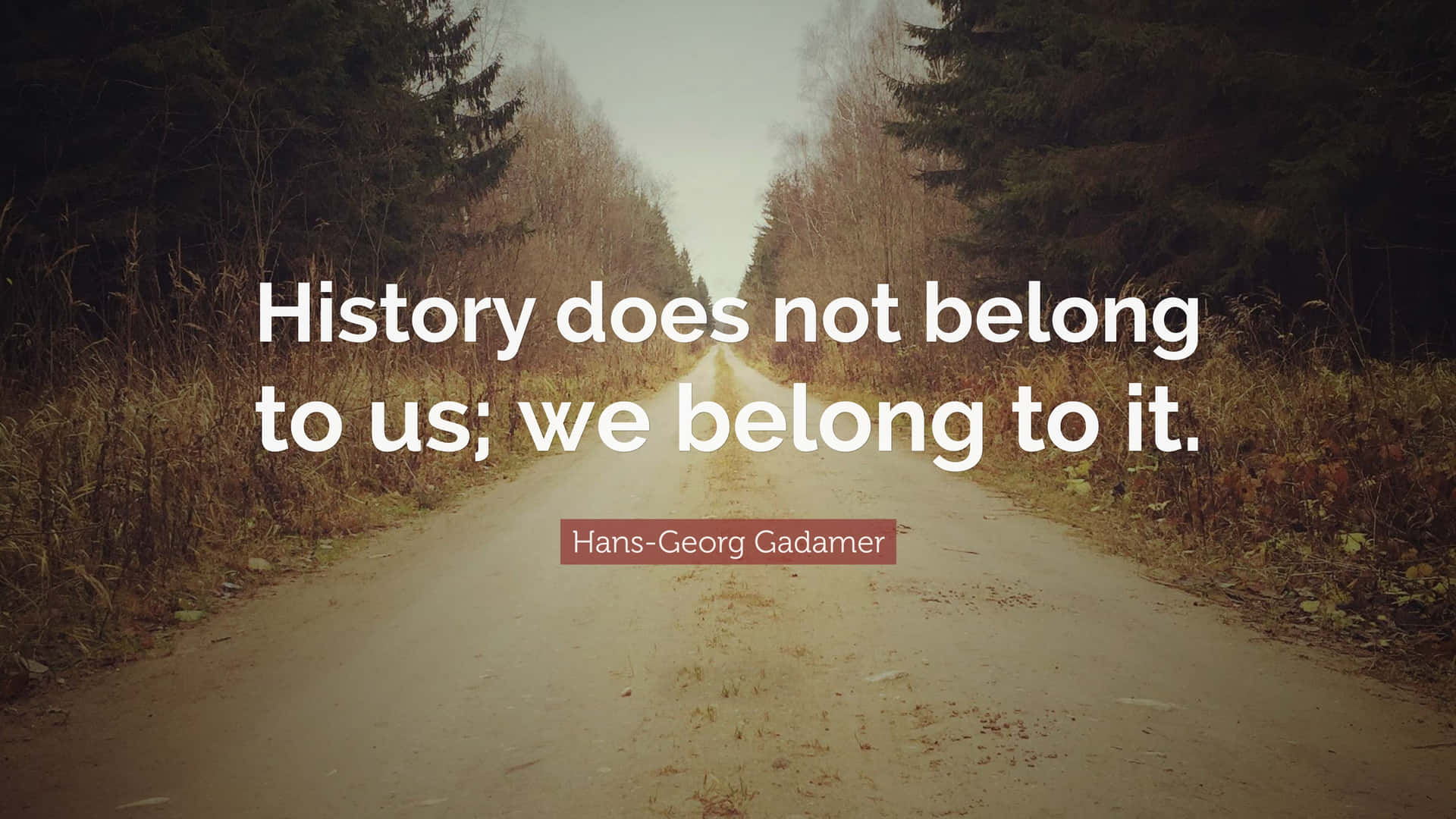 Historical Quote Forest Path Gadamer Wallpaper