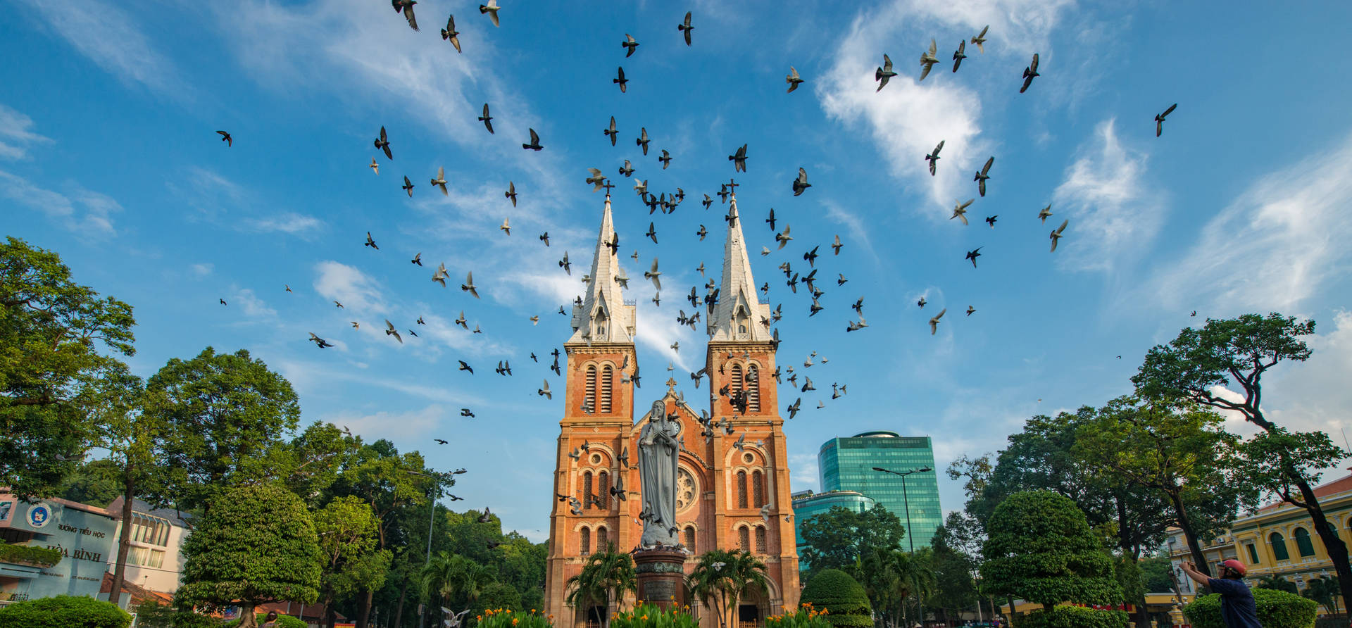 Ciudadde Ho Chi Minh Pájaros Voladores Fondo de pantalla