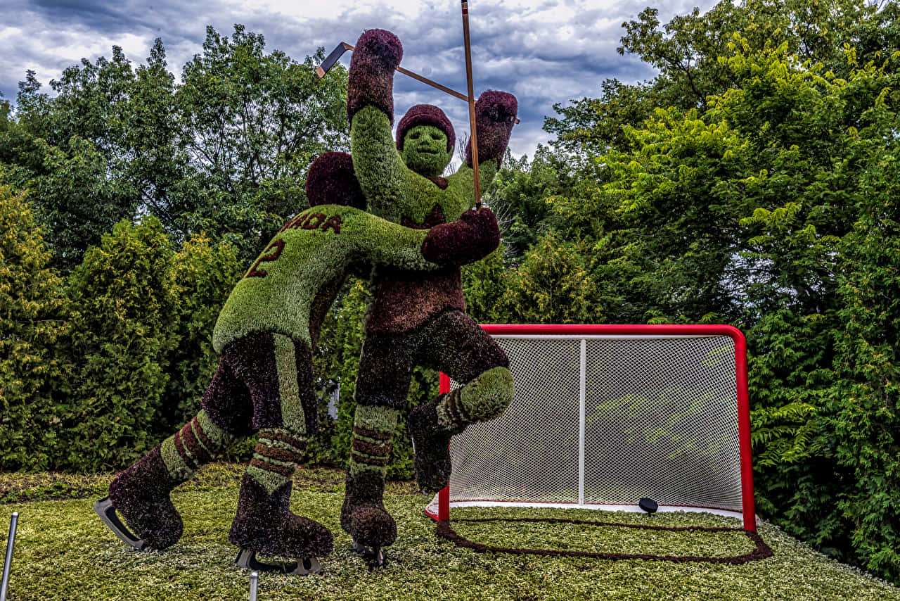 Hockey Player Topiary Gatineau Wallpaper