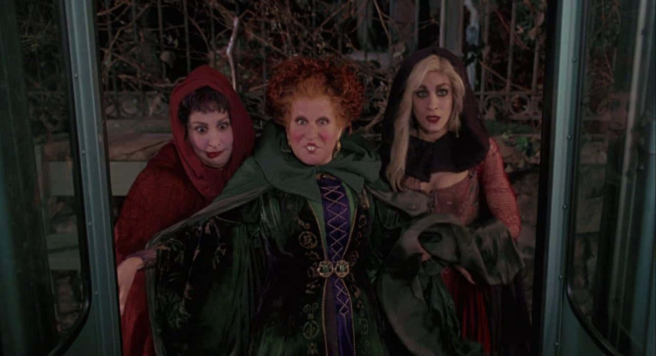 3 Witch Sisters Cast a Spell in Hocus Pocus