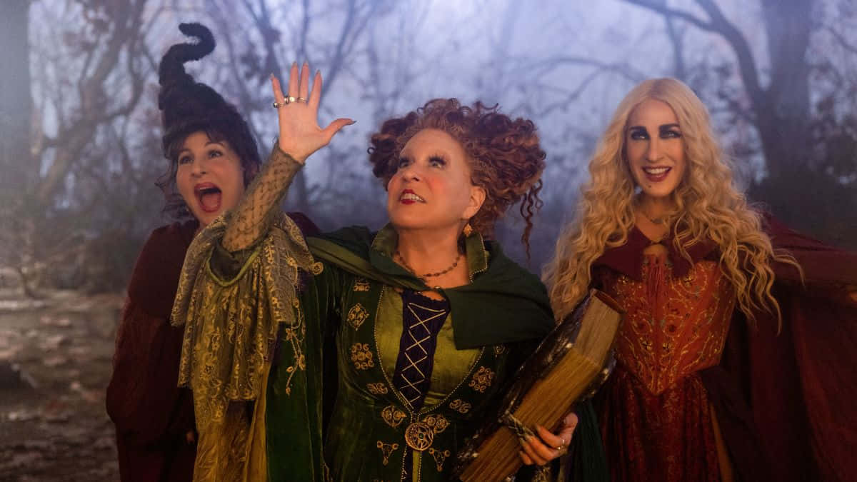 "The witches of Hocus Pocus have cast a spell!"