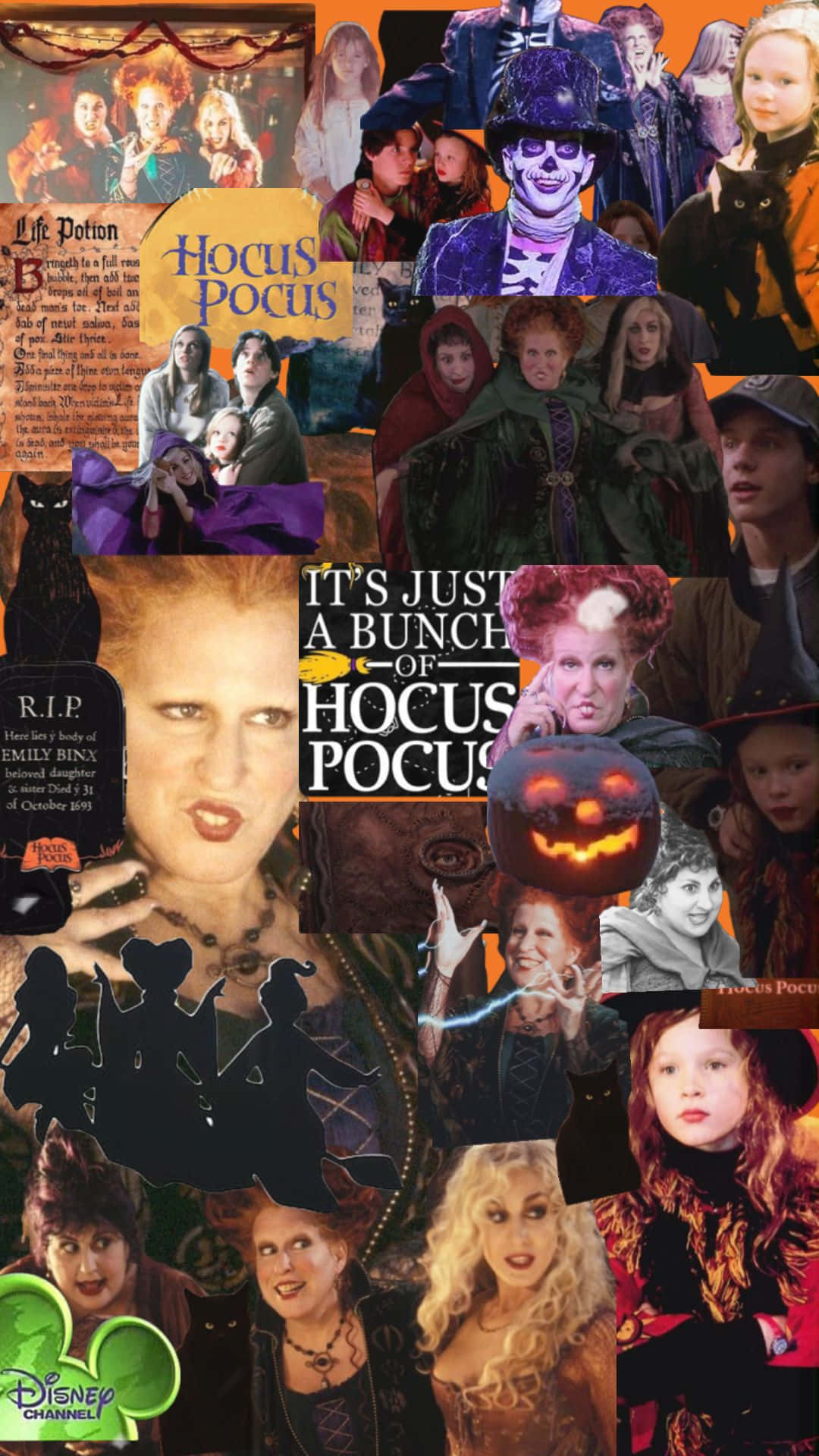 Enter the magical world of Hocus Pocus with this magical iPhone! Wallpaper