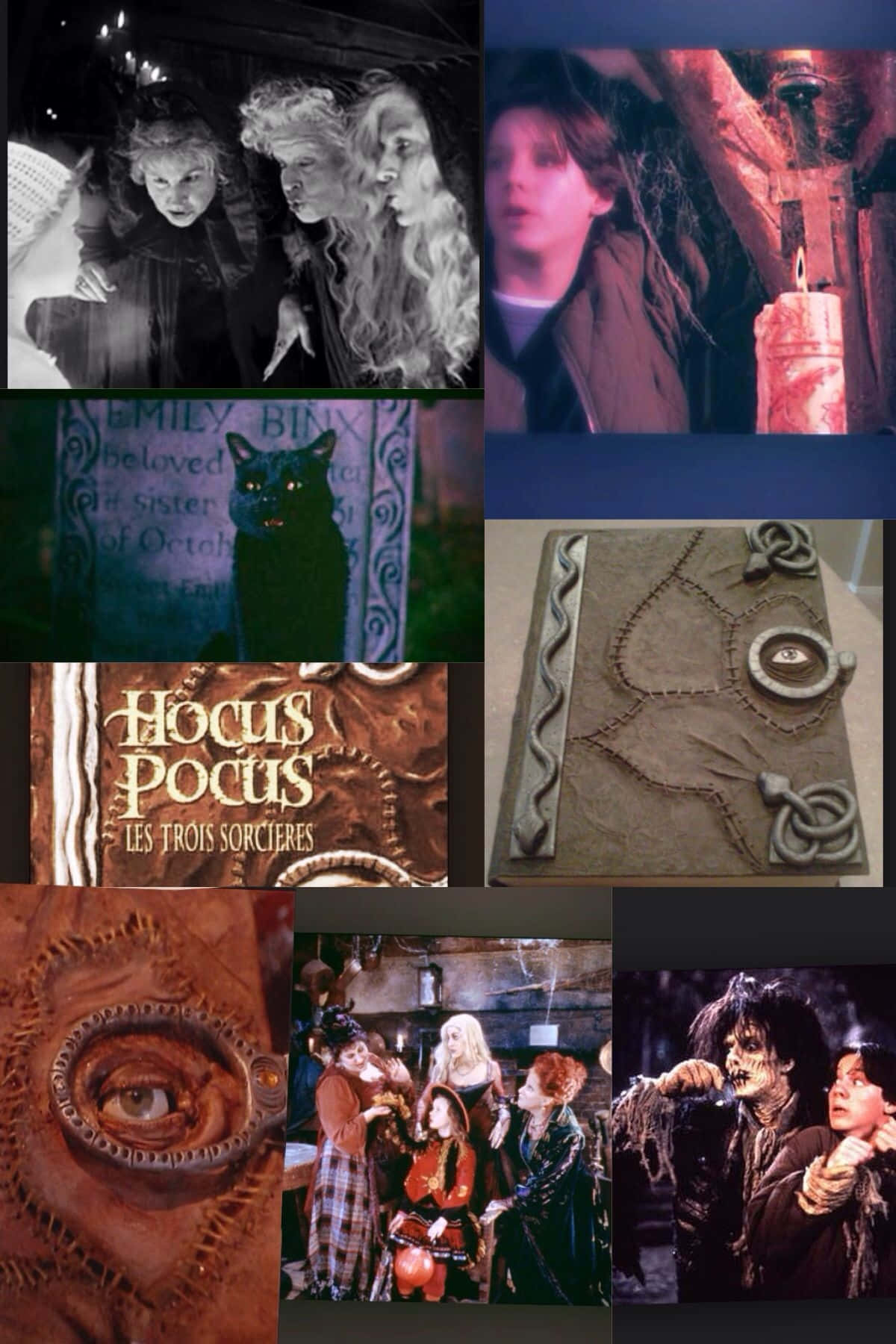 Hocus Pocus Movie Collage Wallpaper