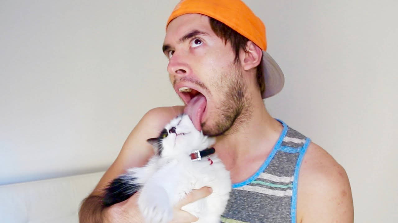 Holasoygerman Licking A Cat Background