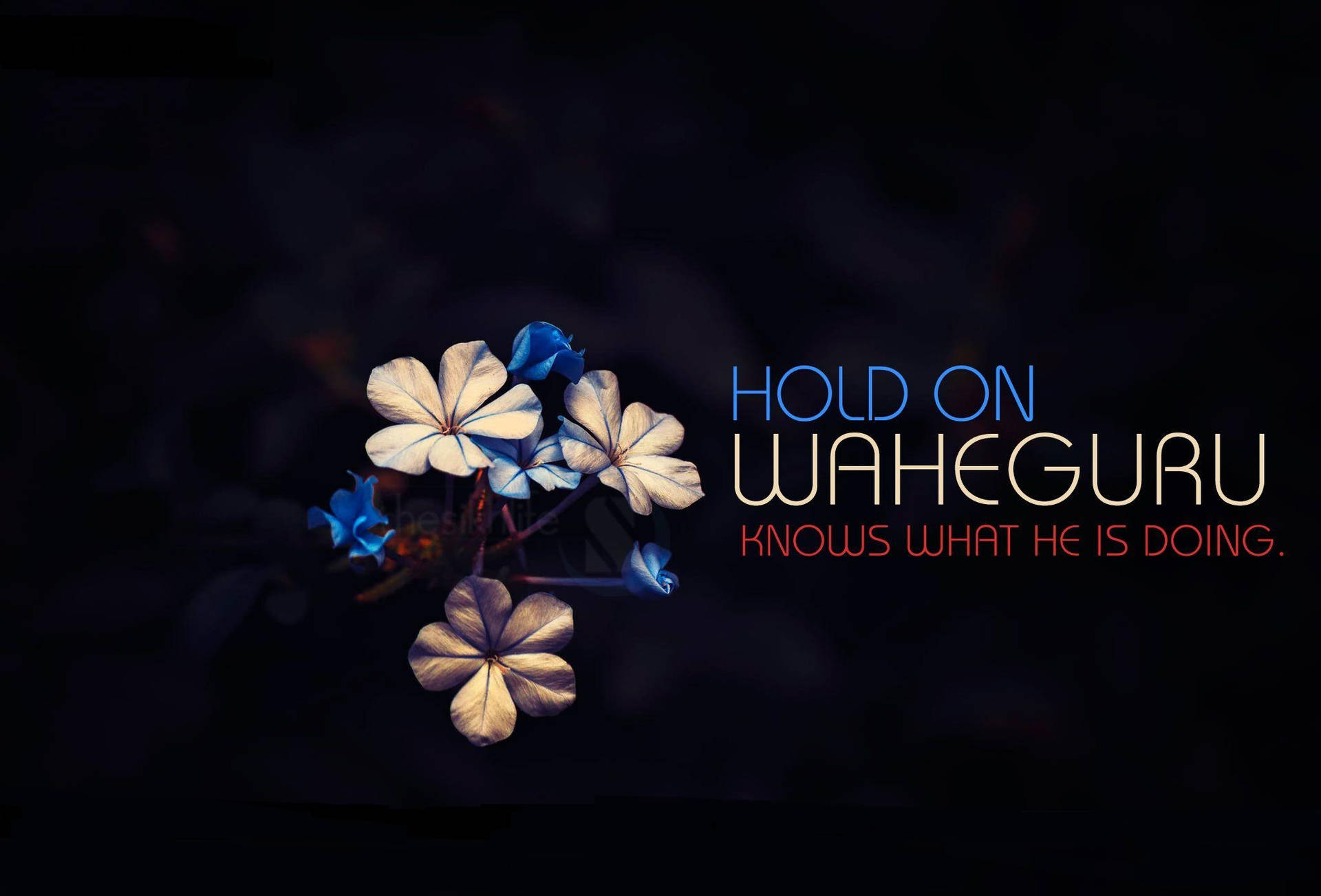 Hold On Waheguru Quote Flower