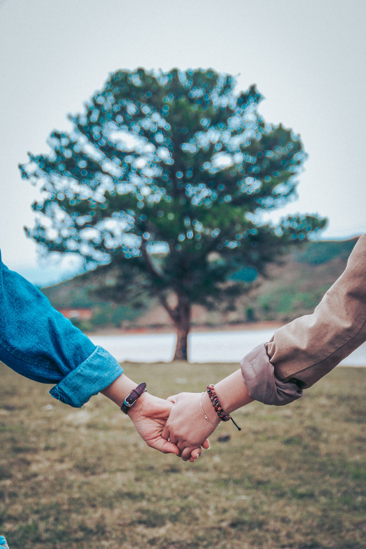 Holding Hands By The Tree In Bokeh Effect Wallpaper