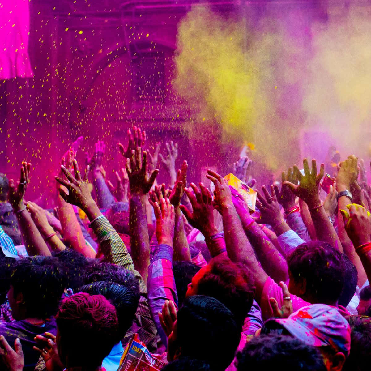 Colorful Celebration of Holi