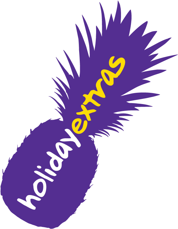 Holiday Extras Pineapple Graphic PNG