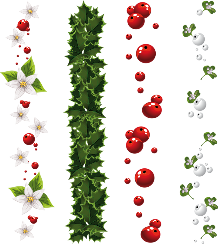 Holiday Hollyand Berries Pattern PNG