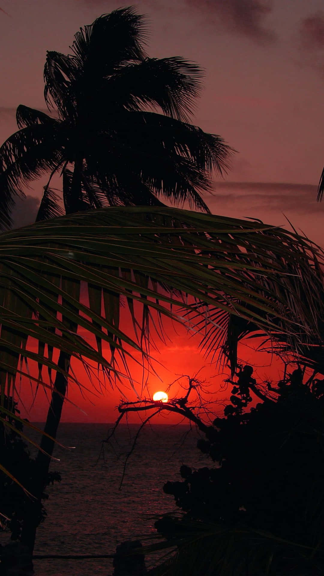 Fondo De Pantalla De Un Atardecer Tropical En Una Isla Paradisíaca Para Iphone. Fondo de pantalla