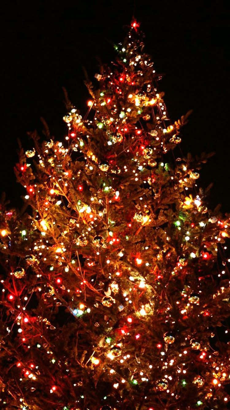 Sfondofestivo Dell'albero Di Natale Stravagante Per Iphone. Sfondo