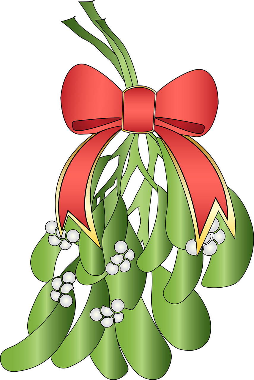 Holiday Mistletoe Illustration PNG