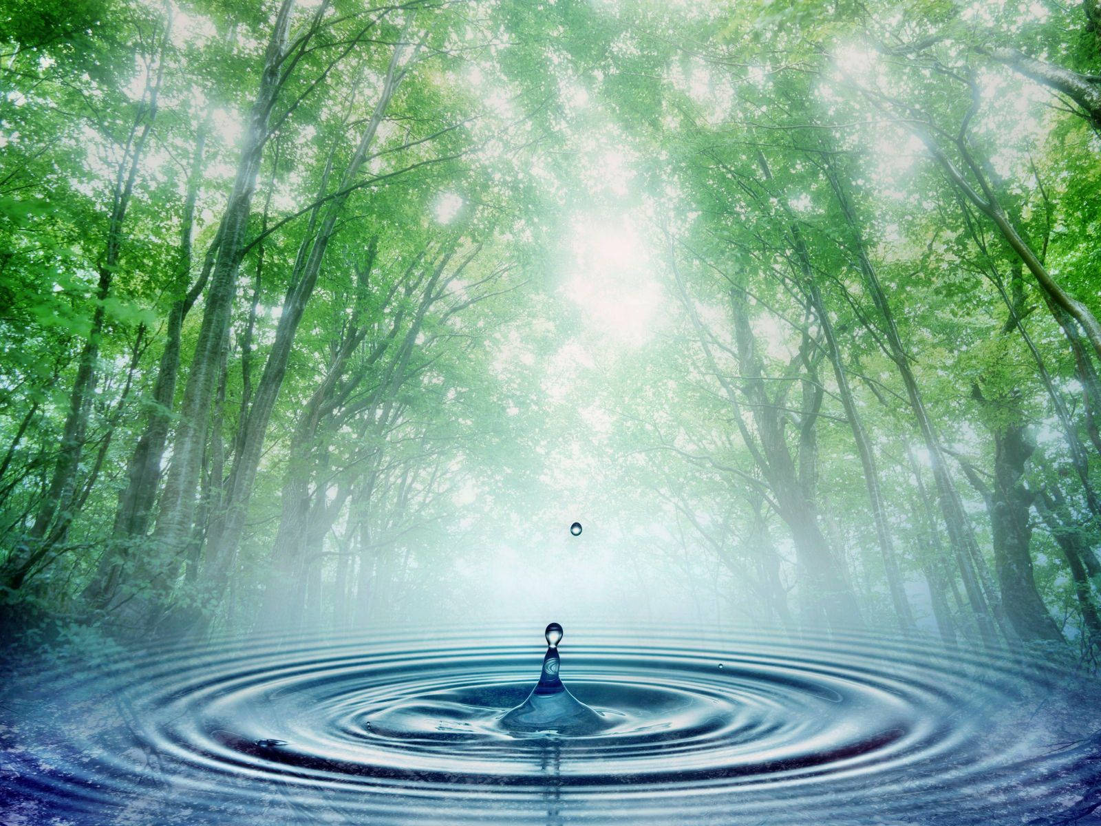 Holistic Nature And Water Wallpaper