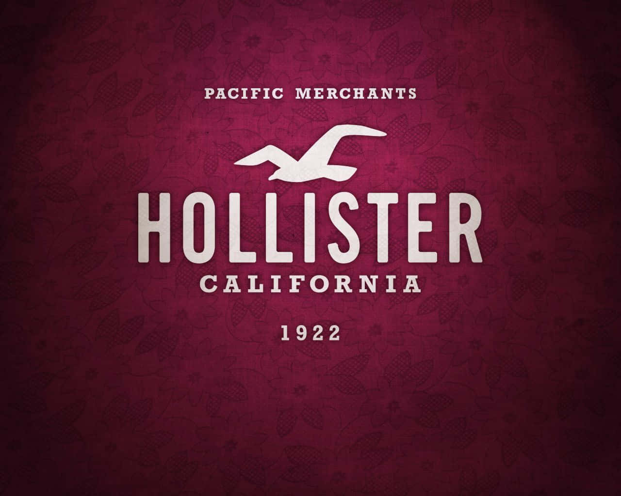 Fresh and carefree vibes of Hollister.