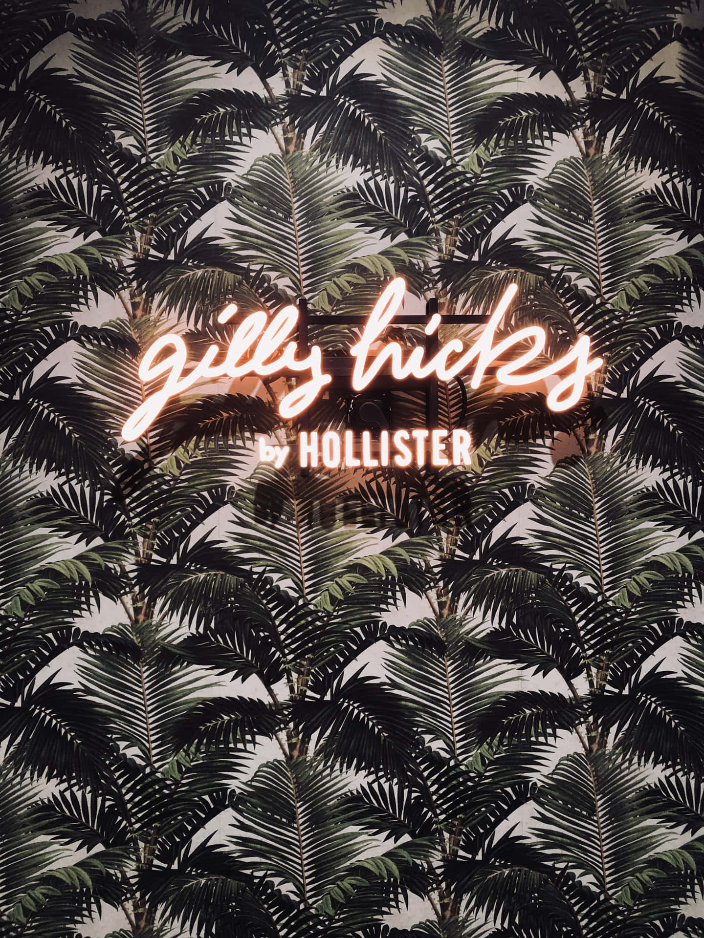 A Neon Sign That Says Hollister