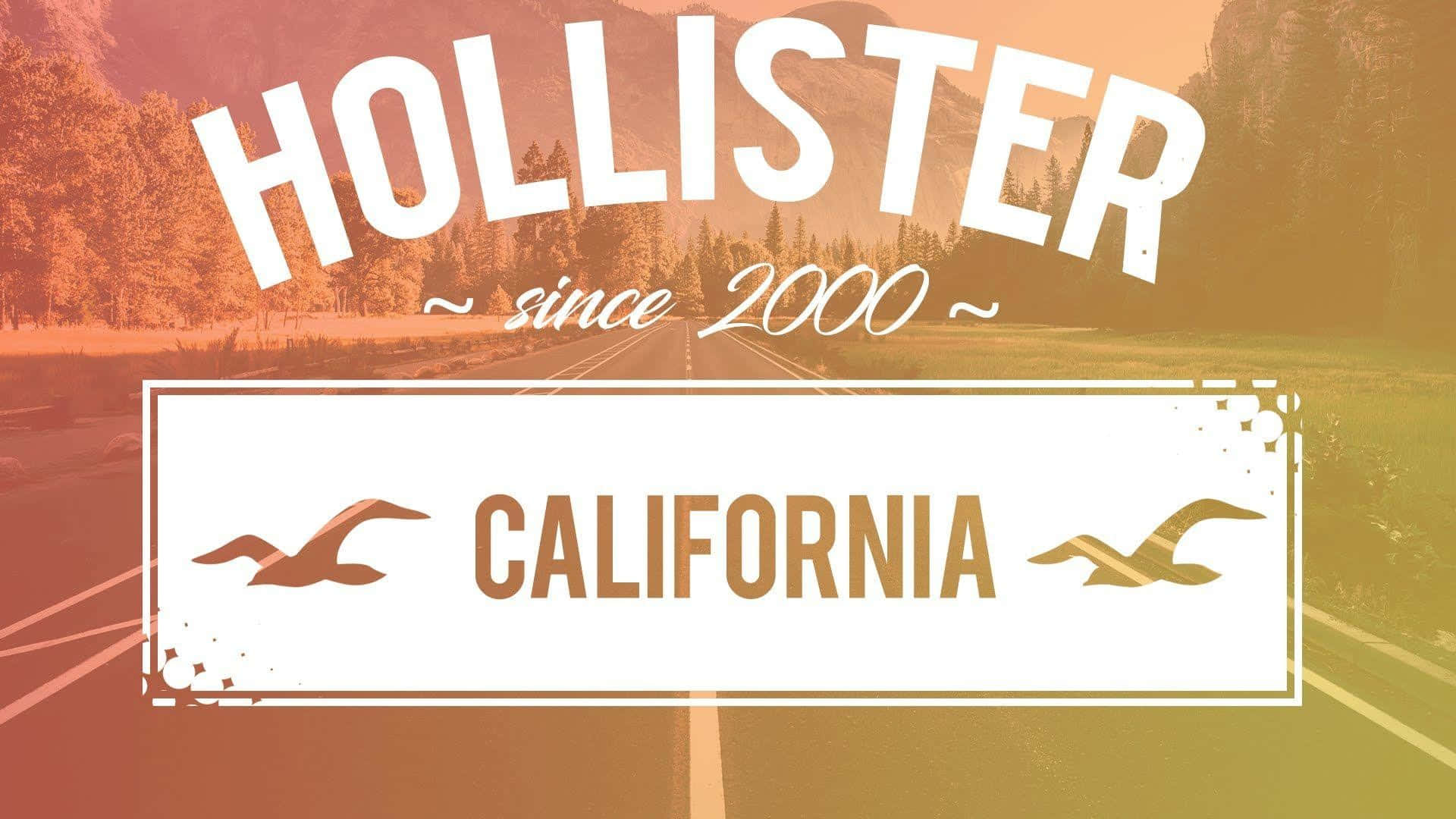 Hollister Since 2000 California