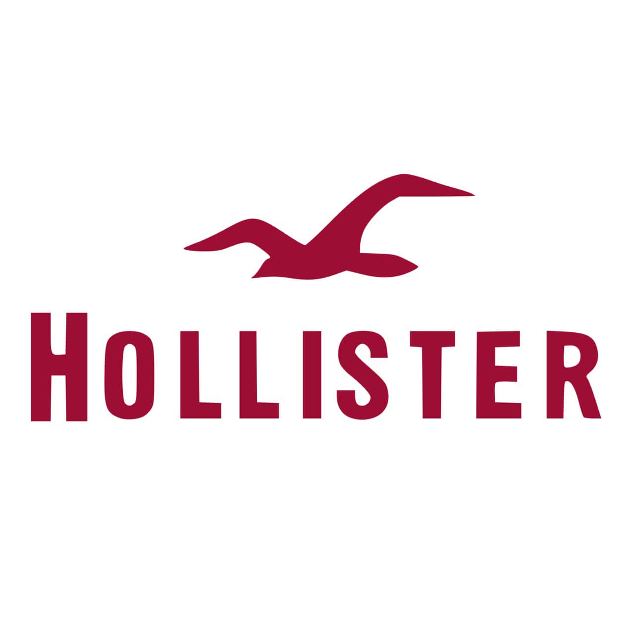 Experience Sunny Summer Vibes with Hollister!