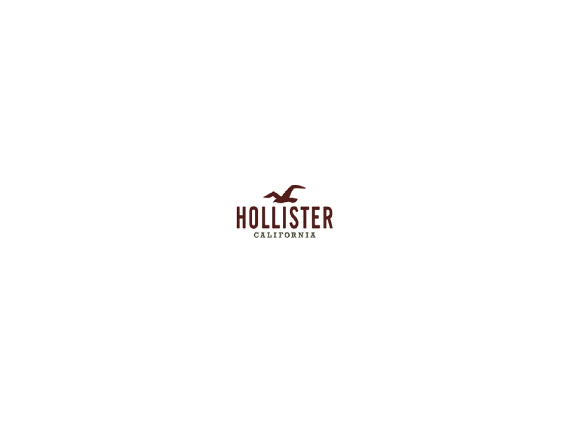 "Come In, Relax and Enjoy the Hollister Experience!"