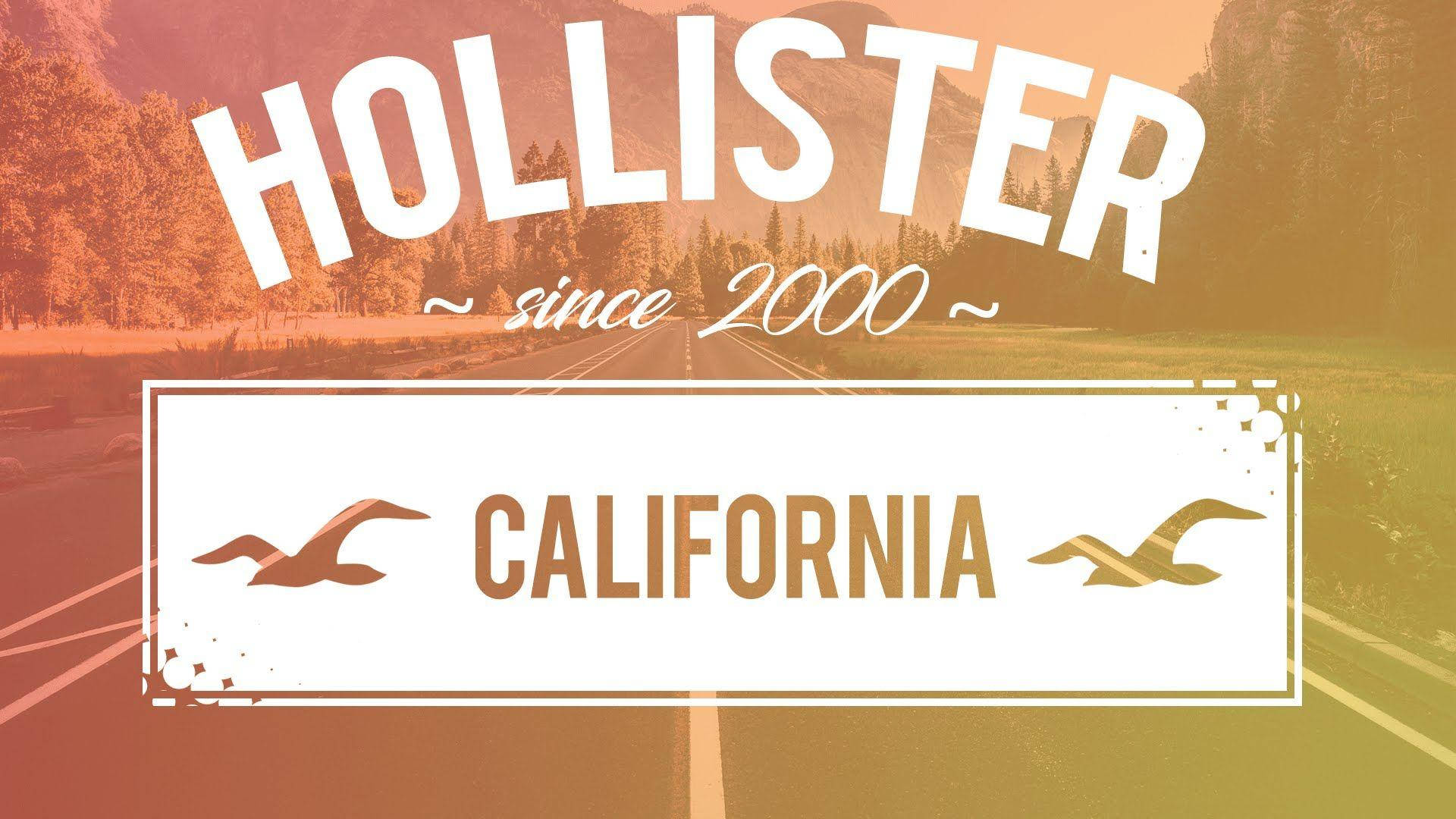 Hollister Since 2000 California Wallpaper
