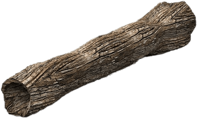 Hollow Log Texture PNG