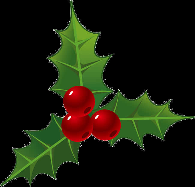 Holly Berries Christmas Decoration PNG