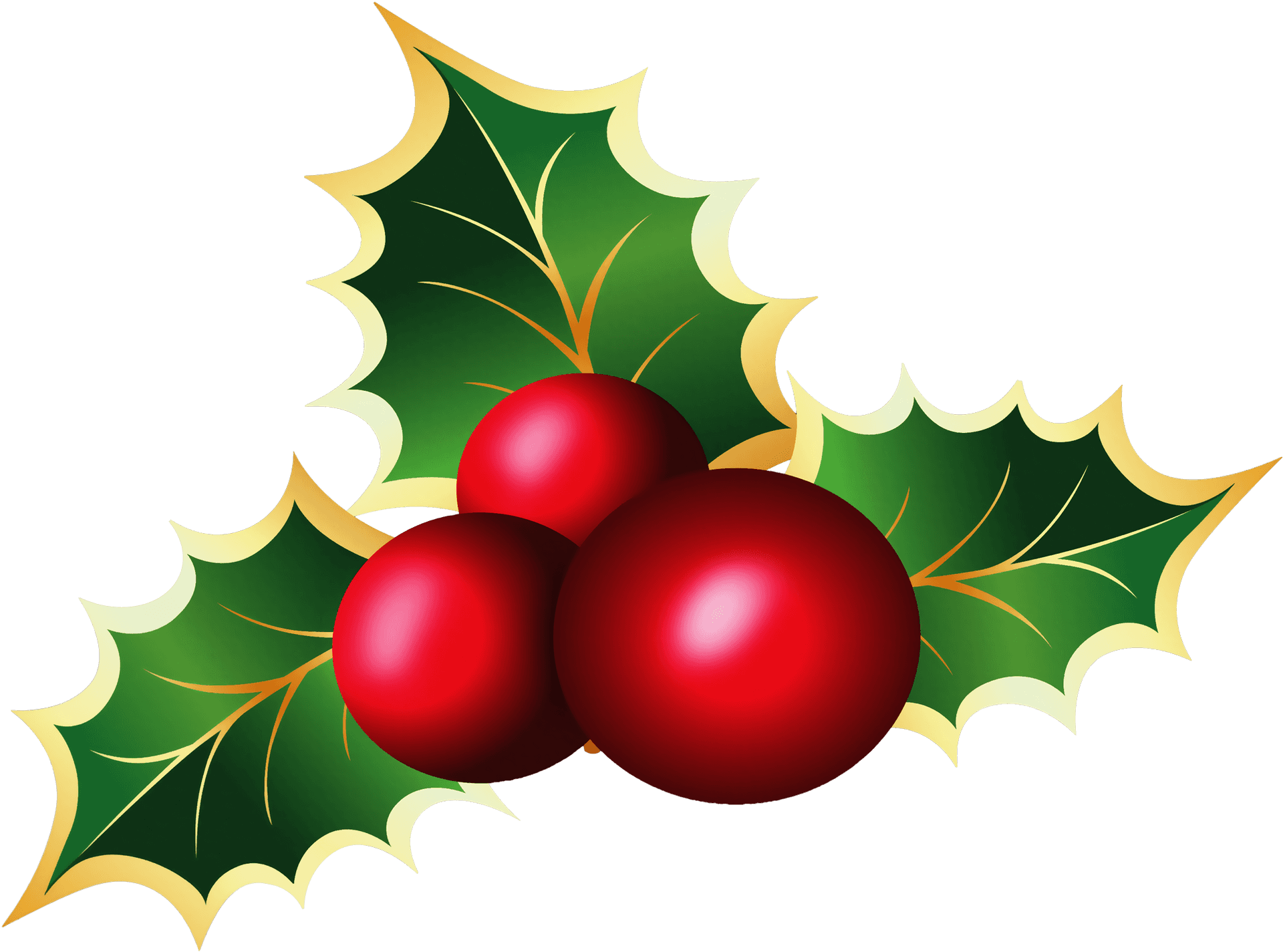 Holly Berries Illustration PNG