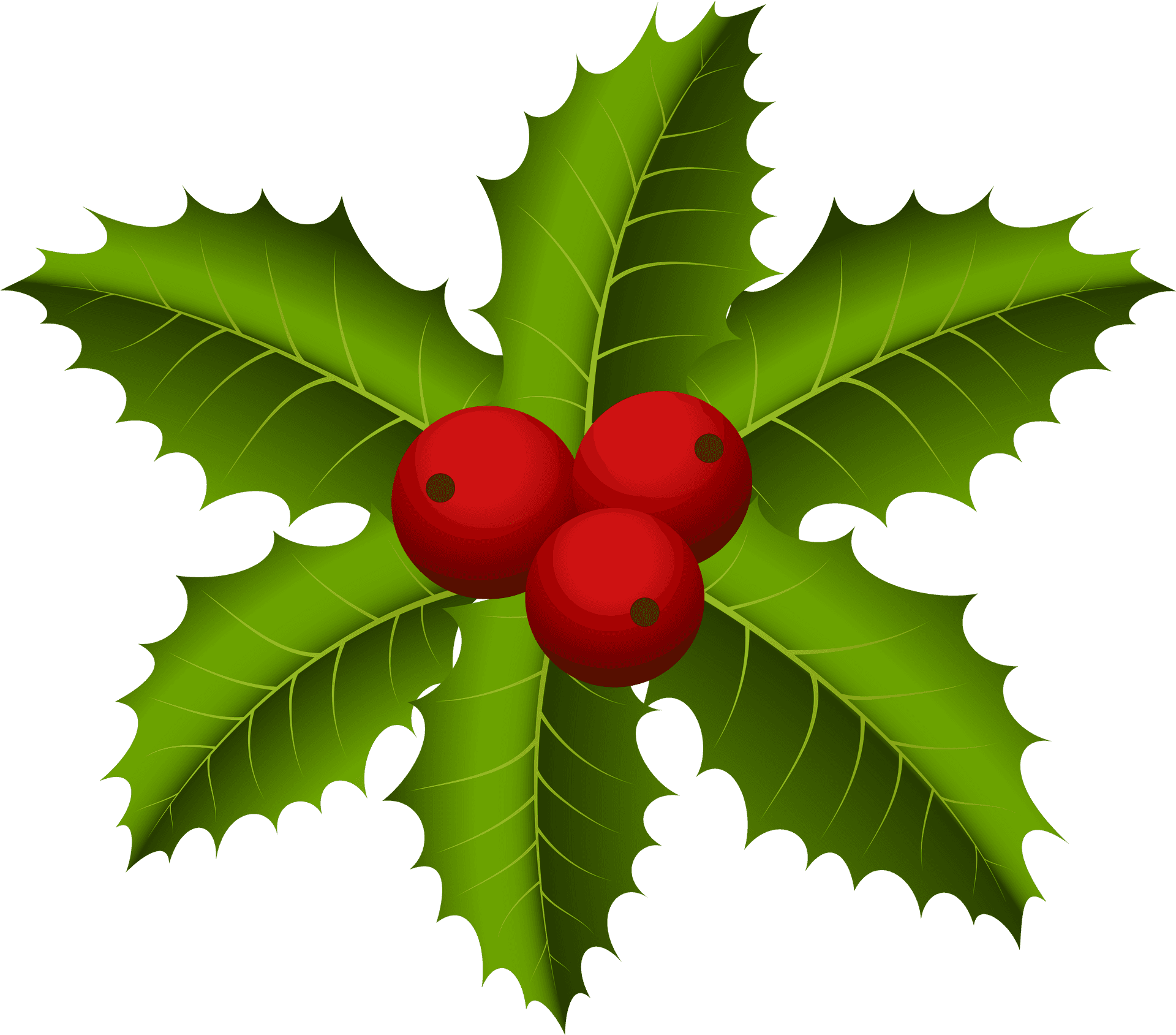 Holly Berries Illustration PNG