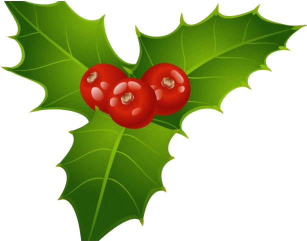 Holly Berries Illustration PNG