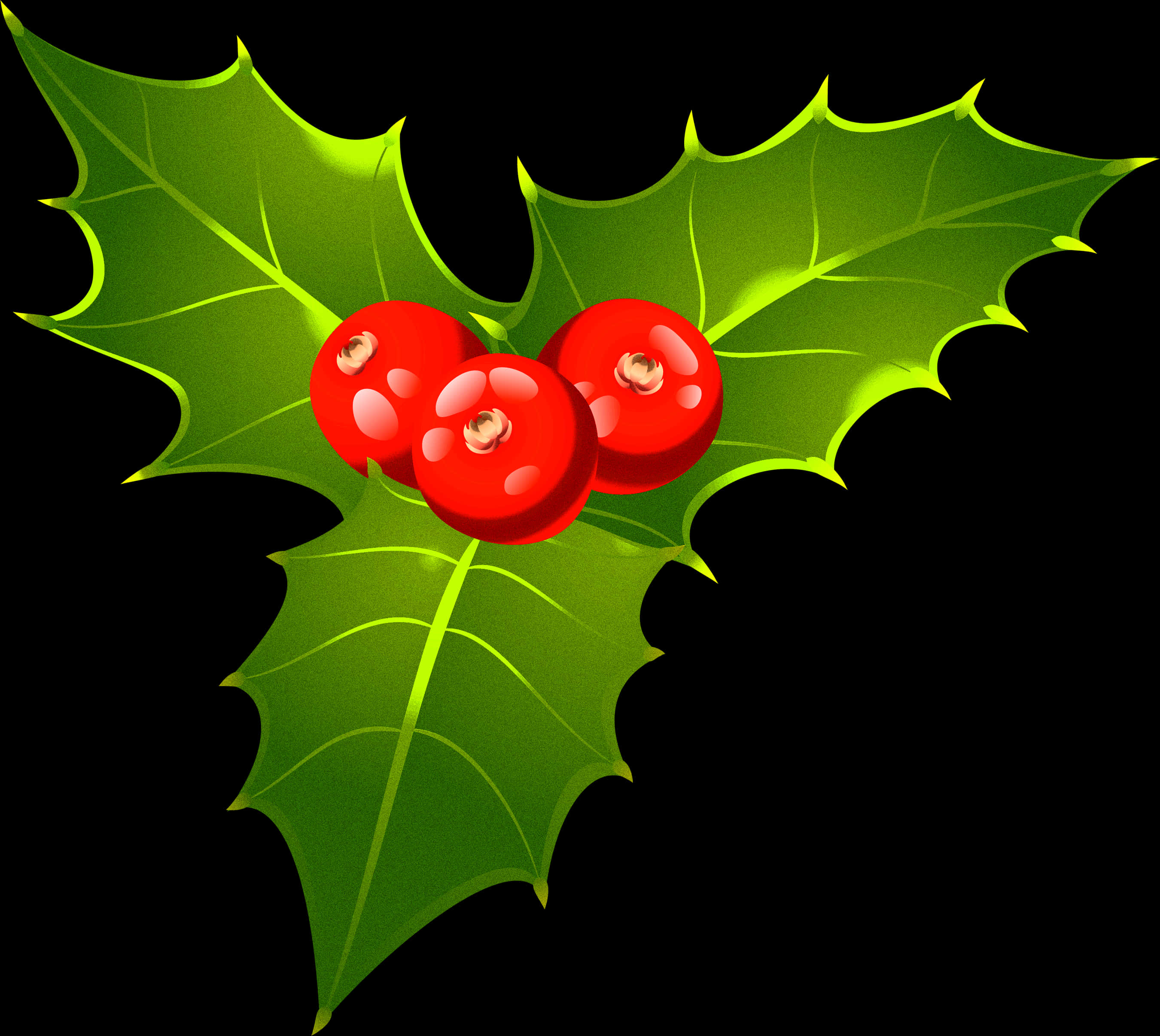 Holly Berries Leaf Clipart PNG