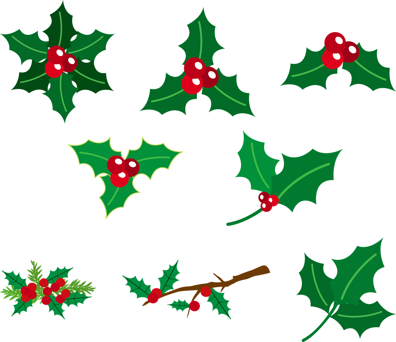 Holly Berry Pattern Graphic PNG